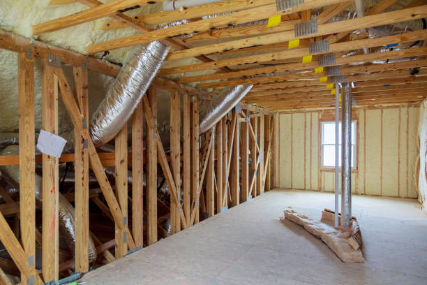 Best Eco-Friendly Insulation in Lake Helen, FL