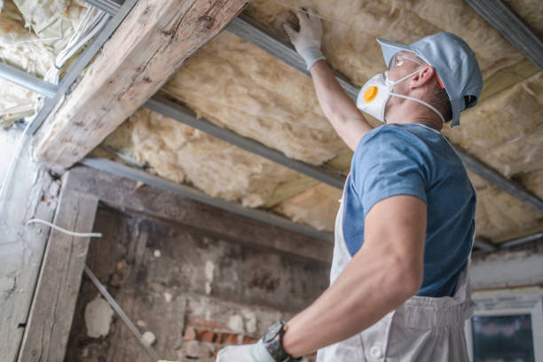 Best Insulation for Specific Applications in Lake Helen, FL