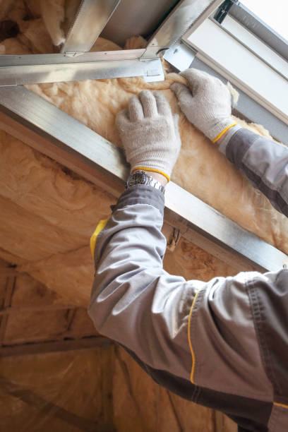 Best Specialized Insulation Services in Lake Helen, FL