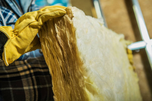Best Geographic-Specific Insulation Services in Lake Helen, FL