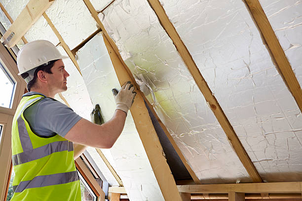 Professional Insulation Contractor in Lake Helen, FL