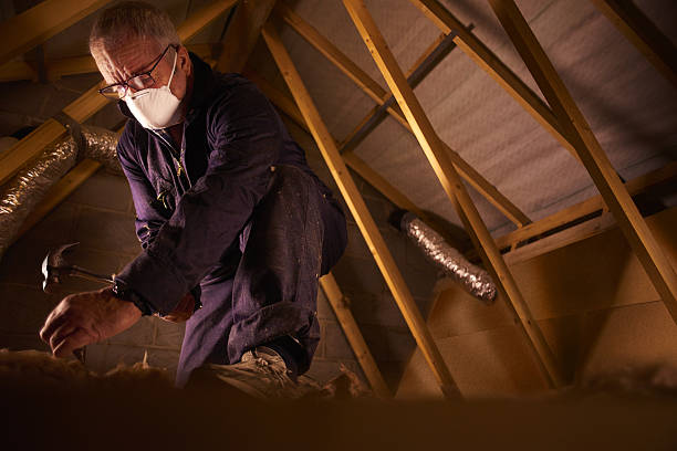 Best Fiberglass Insulation in Lake Helen, FL