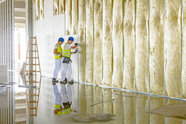 Types of Insulation We Offer in Lake Helen, FL